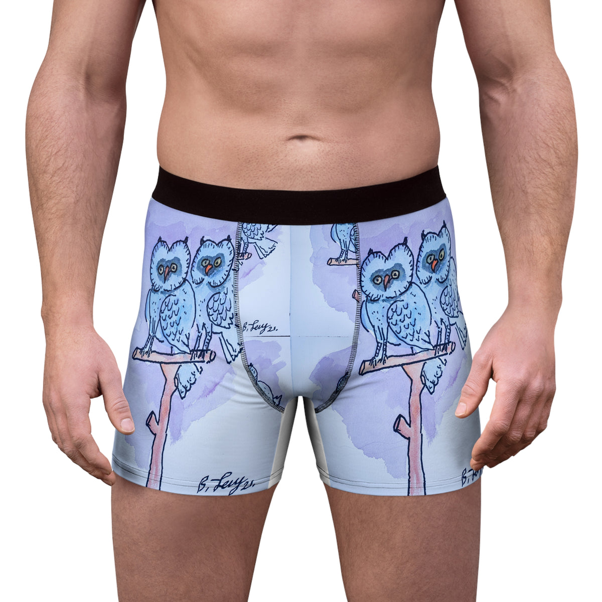 Cute Owl Men's Boxer Briefs – Comfortable & Fun Underwear for Everyday and Gifts